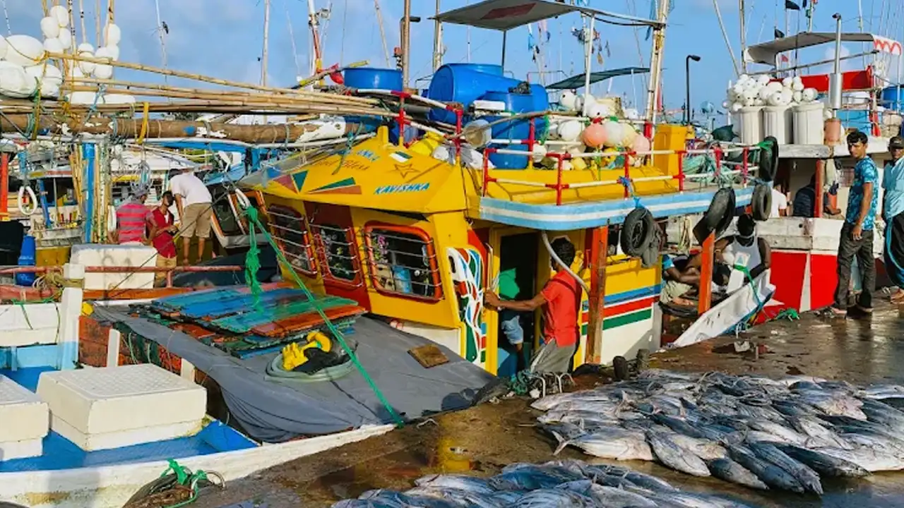 Beruwala fishing harbour