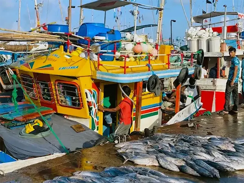Beruwala