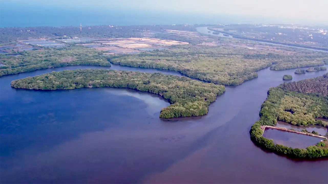 Chilaw Lagoon