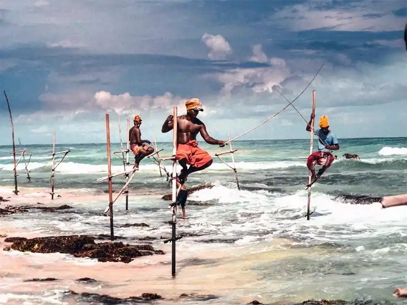 Stilt Fishing in Weligama