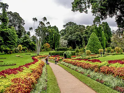 Royal Botanical Garden in Peradeniya, Sri Lanka