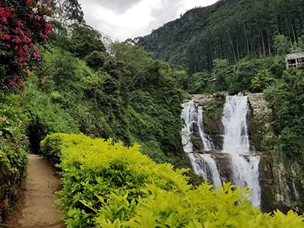 Kandy to Nuwara Eliya activities — Day 7 of Leopard Safari