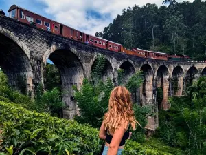 Visit Nine Arch Bridge, walk through tea country, hike Little Adam’s Peak, and explore Ella town