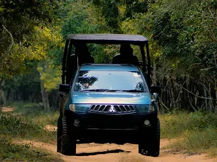 Wilpattu activities — Day 3 of Leopard Safari